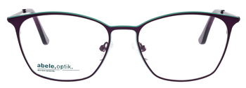 Das Bild zeigt die Abele Optik Fassung 150371 für Damen von vorne.